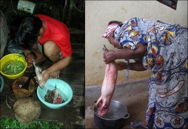 Asian people eat rats 5 ratcook05