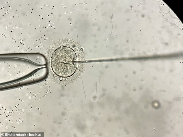 UK Top Fertility Experts Slam Celebrities who Mislead Women with FALSE Idea that they can Get Pregnant in the 40s 2 42448486 9532765 image a 5 1619879566231