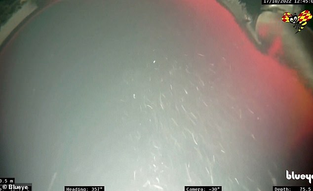 Nord Stream first images Reveal it was attacked with Extreme Force 2 63586791 11326855 In the videos pictured published by Swedish newspaper Expressen m 21 1666084255681