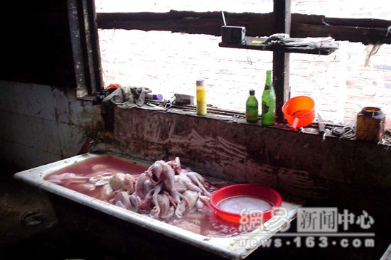 Chinese Export Dead Chicken - Photo Gallery 12 image1111