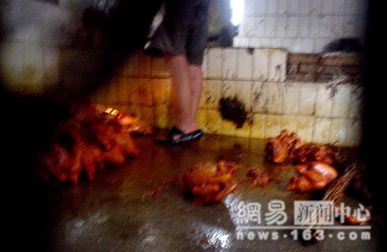 Chinese Export Dead Chicken - Photo Gallery 13 image1212