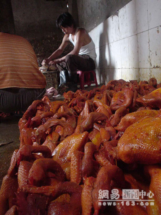 Chinese Export Dead Chicken - Photo Gallery 14 image13131