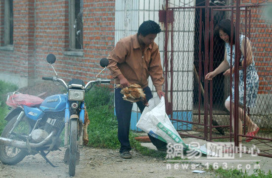 Chinese Export Dead Chicken - Photo Gallery 5 image44