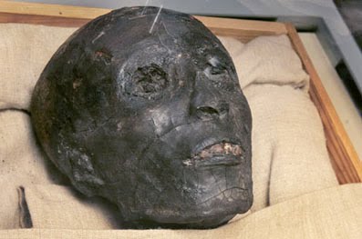 King Tut's DNA is Western European 1 tutankhamun