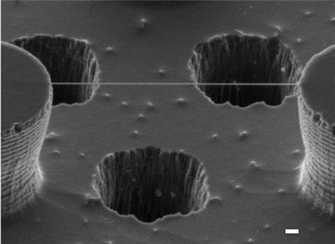 Italian scientists take first DNA image 2 1 dnk rastegnuta izmec491u silikonskoh stupova