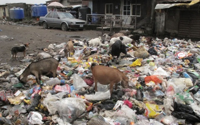 Africans are Fleeing Their Self-Created Disasters 3 lagos 01 1
