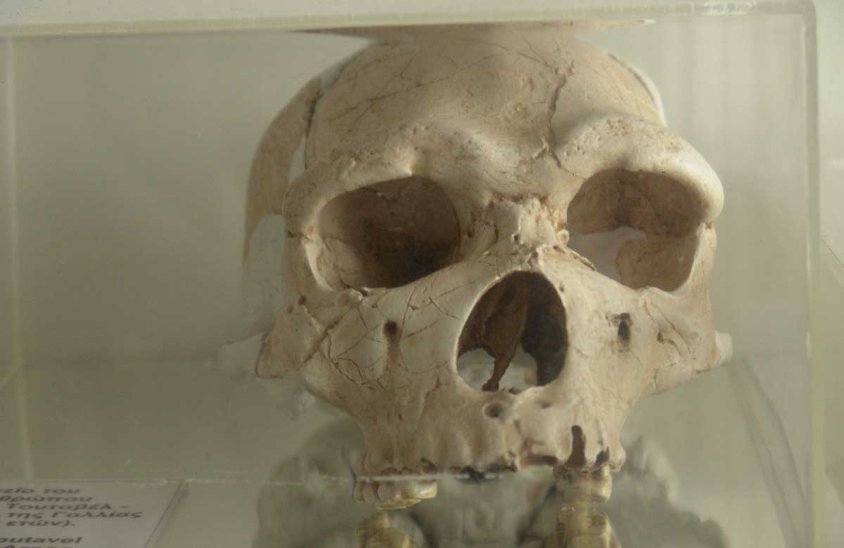 700,000 years old Skull discovered in Greek cave, completely shatters the Out of Africa theory 3 dsc01935