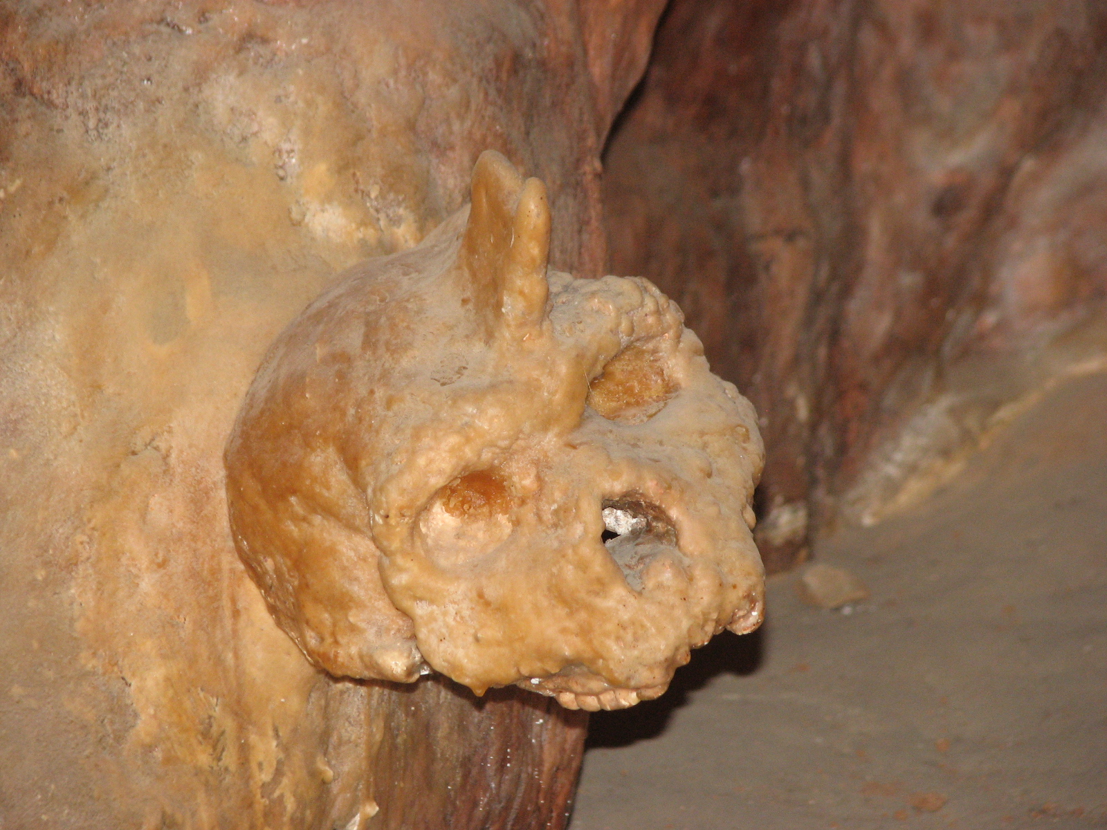 700,000 years old Skull discovered in Greek cave, completely shatters the Out of Africa theory 2 petralona skull covered by stalagmite