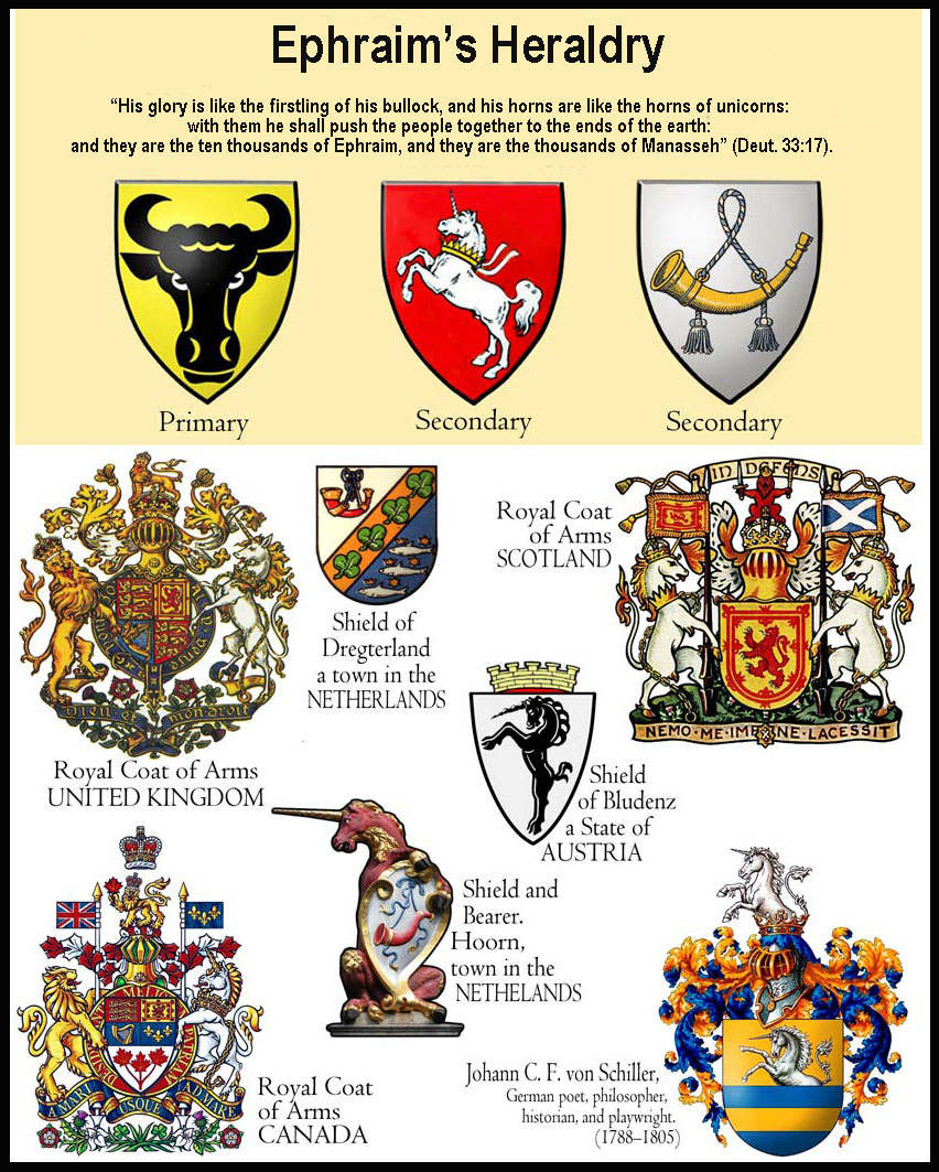Who are the Lost 10 tribes of Israel? White Europeans are and there is Proof for it 4 ephraim emblems