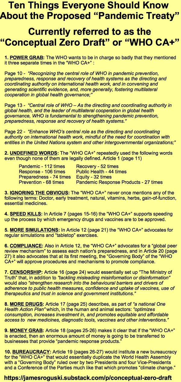 New WHO pandemic treaty in final stages, would unleash medical dictatorship 2 who ca draft summary
