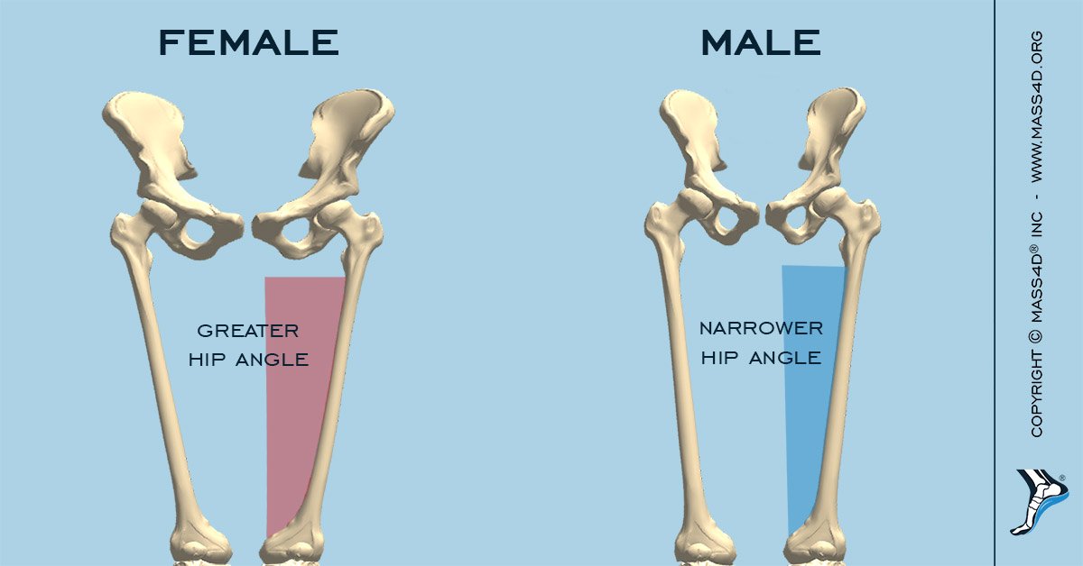 Former Muscular Wrestling Star Comes Out as Transgender 'Woman' Despite Biology Proving Otherwise 8 male female skeleton 2