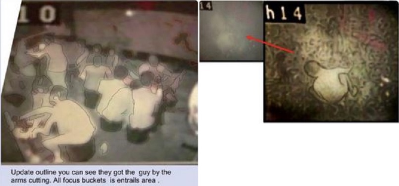 Footage Of Abused Children Captured On Epstein's Pedo Island Underneath the Temple 5 8ju6o27