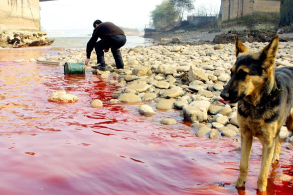 The Pollution in China Exposed! - Photo Gallery 55 GD4059040@LANZHOU, CHINA NOVE 4743