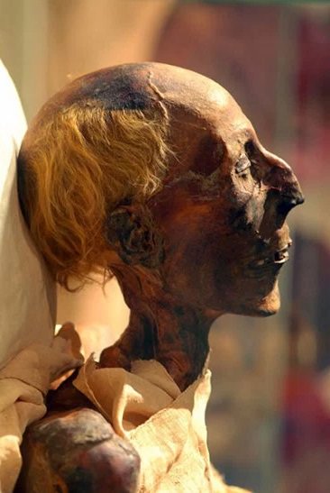 Black SJWs meltdown on Twitter after white Nefertiti reconstruction revealed 44 Q9rHihn