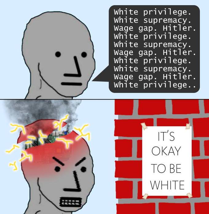 Australia rules "It Is NOT Okay To Be White" in Senate Vote 2 Wlpiiz2