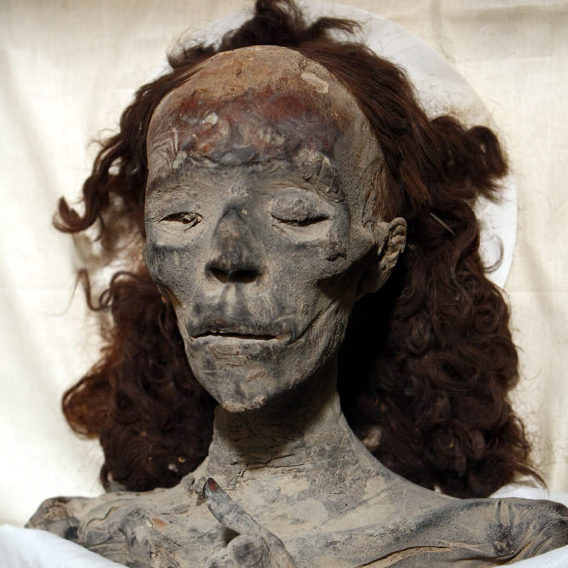 Black SJWs meltdown on Twitter after white Nefertiti reconstruction revealed 48 YC89OOk