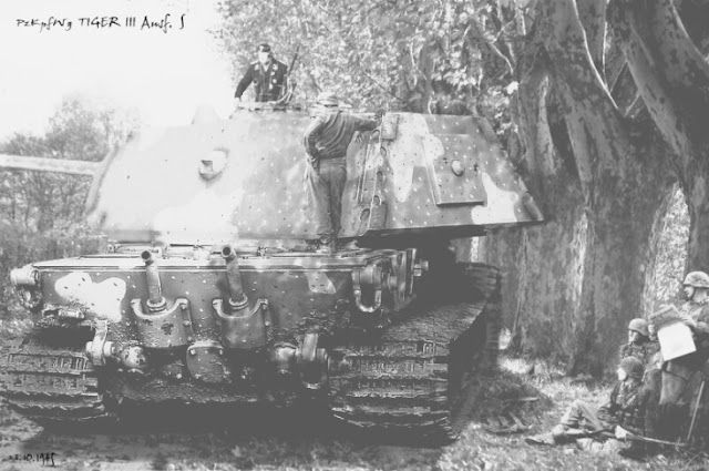 German Wonder Weapons of World War Two 10 ti1
