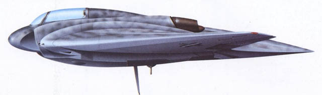 German Wonder Weapons of World War Two 51 rtyjerythtrhbdf
