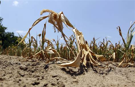 Obama Pleads For Russian Help As US Drought Apocalypse Grows 2 aat2