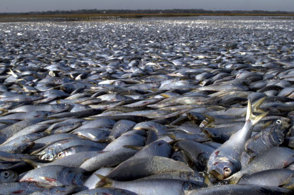 Russia Issues Apocalyptic Warning For US Gulf Coast 3 agc3