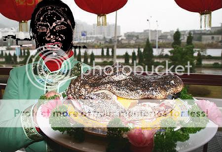 Traditional Chinese Dish, Specialties, Cousine 22 W020061205534787326715