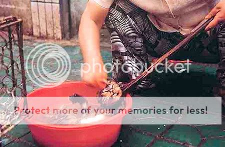 Traditional Chinese Dish, Specialties, Cousine 5 ps AsianAnimalProtectionNetwork5 Ca