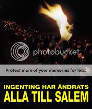 Swedes hold march to commemorate Daniel Wretström and oppose immigration 8 torchlogo