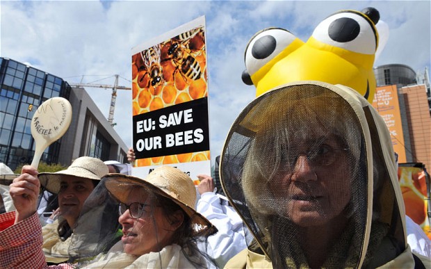 Russia Warns Obama: Global War Over “Bee Apocalypse” Coming Soon 3 baz3