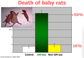 Shocking Russian Report Labels GMO Foods “Bio-Warfare Weapon” 2 bzb2