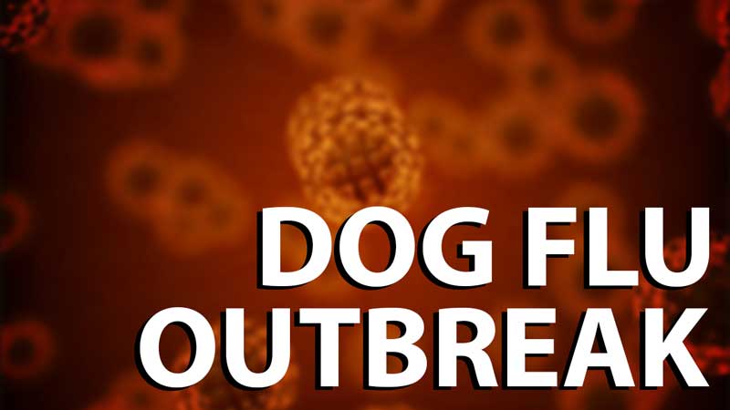 CIA-ISIS Bio Attack Warned Spells Death For All Dogs In America 3 cim3