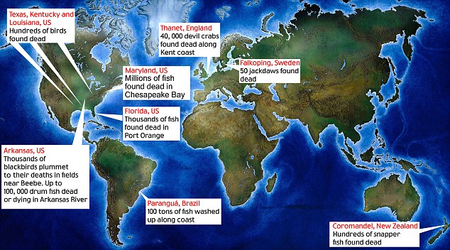 Poisonous Space Clouds Slamming Into Earth Cause Mass Bird And Fish Deaths 2 dbf4
