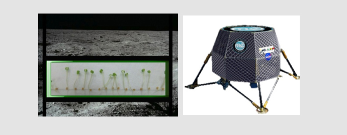 NASA to sow 1st seeds of future habitat 3 nasa