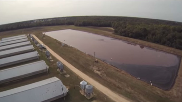 Pork farms busted spraying pig poop into air 2 64657856