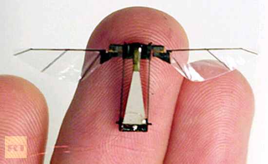 US military Insect Drones surveillance future 3 iae4d628854d9329bcfa0c6c7ec7667b0 insect fly bot drone