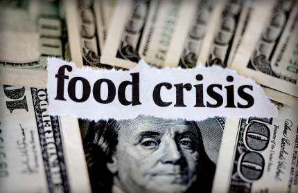 Obama Orders Military To Prepare For Spring Food Riots 2 frn2