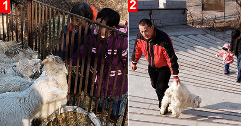 Joy of Multiculturalism: Spectator sport China DOESN’T want you to see 1