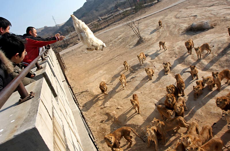 Joy of Multiculturalism: Spectator sport China DOESN’T want you to see 2