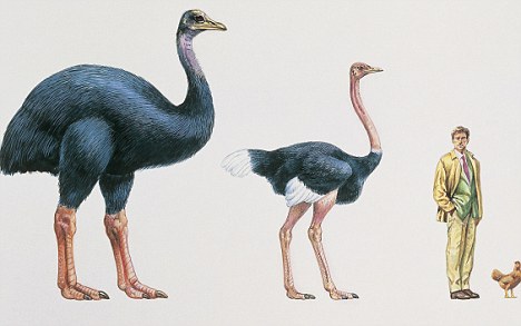 Scientists get closer to real-life Jurassic Park after extracting DNA from fossilised eggshells 1 article 1256710 08A7FA0E000005DC