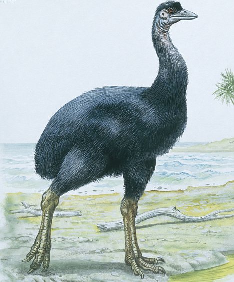 Scientists get closer to real-life Jurassic Park after extracting DNA from fossilised eggshells 4 article 1256710 08A7FA95000005DC