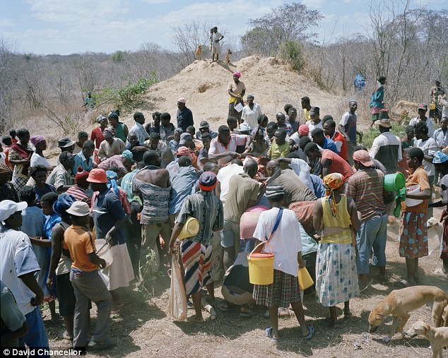 In Mugabe’s Zimbabwe, people eat Elephant meat, even raw 3 Battle begins: Soon, the villagers are fighting to get the urgently-needed meat