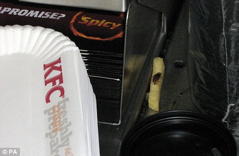 KFC kitchen found full of cockroaches, mice, flies and blood by UK inspectors 3 article 1276459 098325F5000005DC