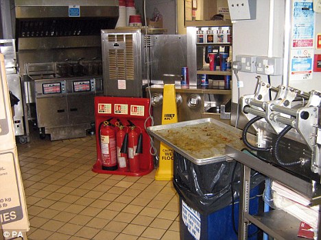 KFC kitchen found full of cockroaches, mice, flies and blood by UK inspectors 2 article 1276459 09832689000005DC