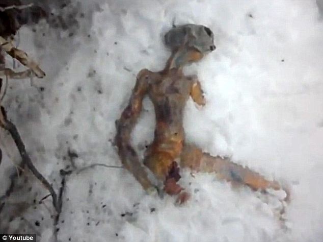 Body of 'dead alien' is found in frozen wastes of Siberia after claims of UFO hurtling to Earth 2 article 1378400 0BB0CD9700000578