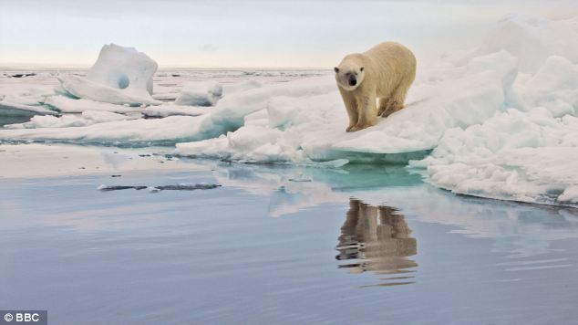 Climate Change Scientist Accused of Hiding Truth by Colleague 1 article 2055191 0E8E878700000578