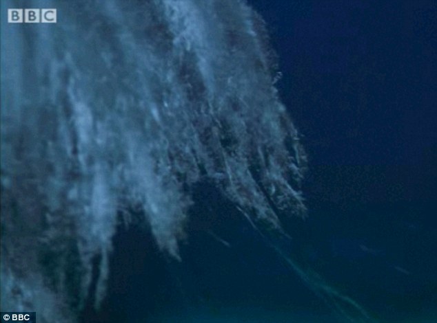 Strange Brinicle Beneath the sea in Antarctica, destroys everything in its path 2 article 2065401 0EEB9C4A00000578