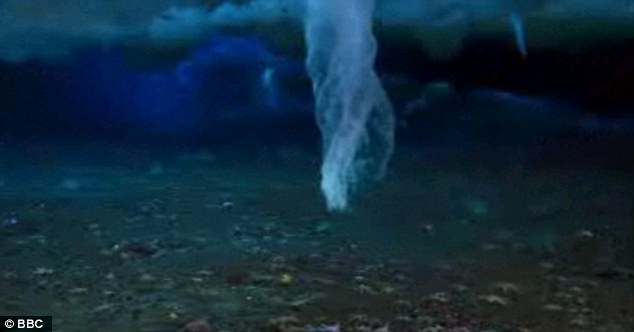 Strange Brinicle Beneath the sea in Antarctica, destroys everything in its path 3 article 2065401 0EEB9E2E00000578