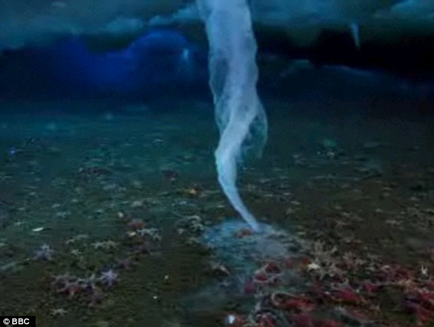 Strange Brinicle Beneath the sea in Antarctica, destroys everything in its path 4 article 2065401 0EEB9ED200000578