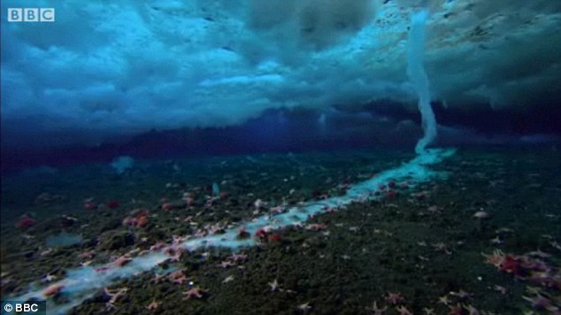 Strange Brinicle Beneath the sea in Antarctica, destroys everything in its path 7 article 2065401 0EEBA23C00000578