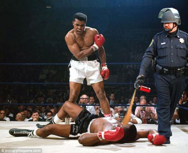 Occupy protest Cop becomes an Internet Craze after Pepper Spraying 16 article 2065419 0EEB7FD700000578