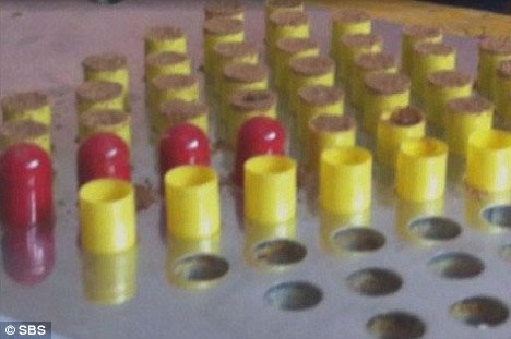 Chinese pills filled with human baby powder discovered by South Korean customs 3 article 2140702 12F8F0DA000005DC